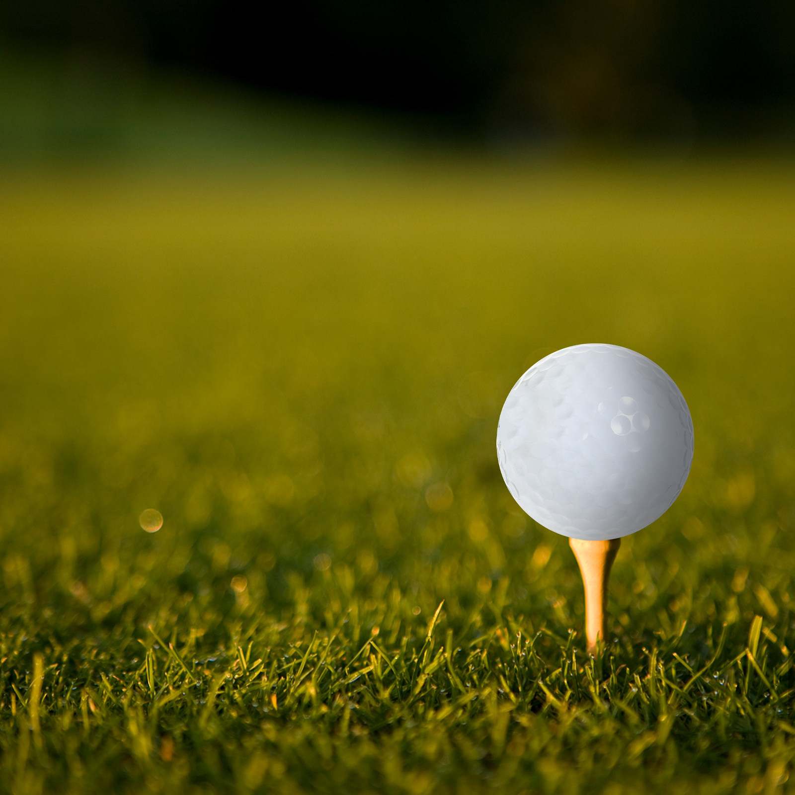 Indoor Practice Golf Balls Equ - đánh giá và giá Golf Equipment For Beginners